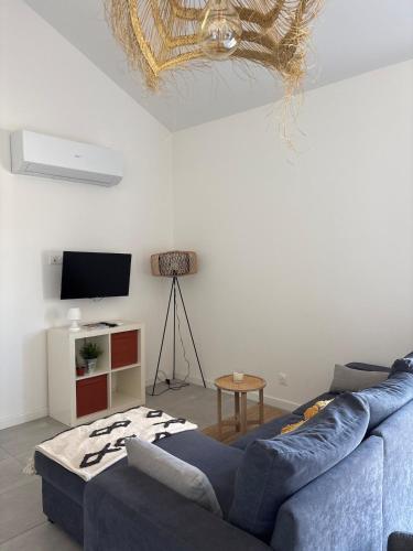 a living room with a blue couch and a tv at Maisonnette avec terrasse in Montauban