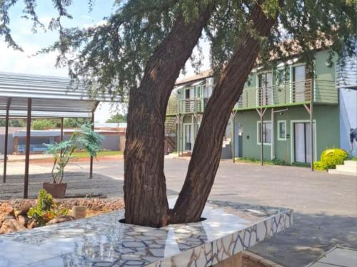 a tree in front of a building at Eden Villas Guesthouse in Kuruman