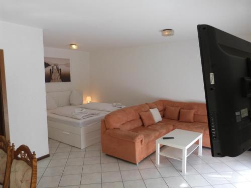 a living room with a couch and a tv at Winzergasthof zum Kellerstübchen in Mehring