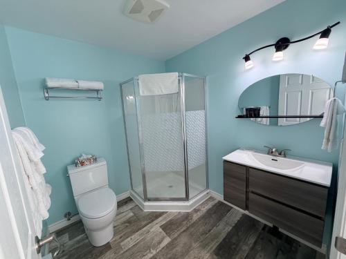 a bathroom with a shower and a toilet and a sink at Drift Ashore House in Rocky Harbour