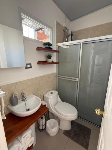 a bathroom with a toilet and a sink and a shower at Maadi-Tiny House-Los Ausoles in Ahuachapán