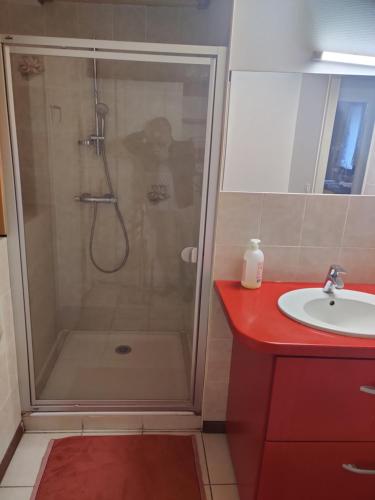 a bathroom with a shower and a sink at Maison de campagne in Le Puy