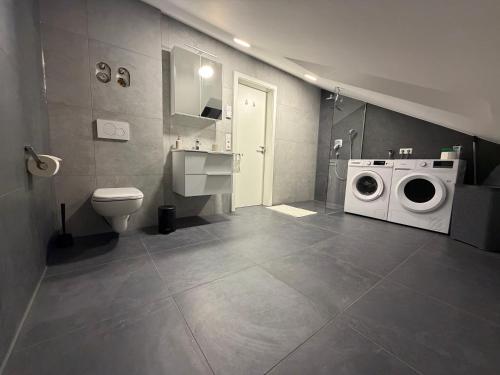 a bathroom with a washing machine and a toilet at Ferienwohnung Verissimo in Ittlingen