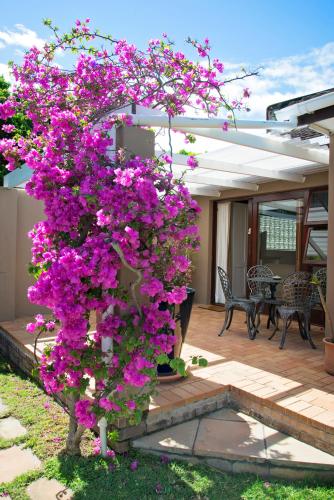 a tree covered in purple flowers on a patio at Bayside Guesthouse in Port Elizabeth