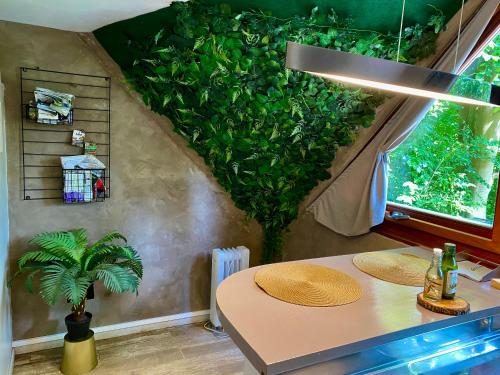 a room with a table and a green plant at Chambre avec jacuzzi ou Chalets dans les bois in Gesves