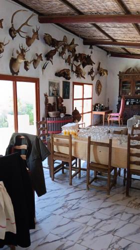 Zona d'estar a escaledeslacs