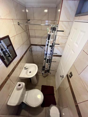 a small bathroom with a toilet and a sink at Hostal JV Loft Doble B in Nogales