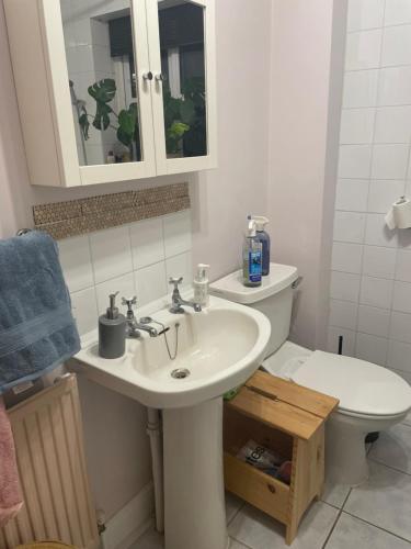 a bathroom with a sink and a toilet at Pine Tree Cottage in Linslade