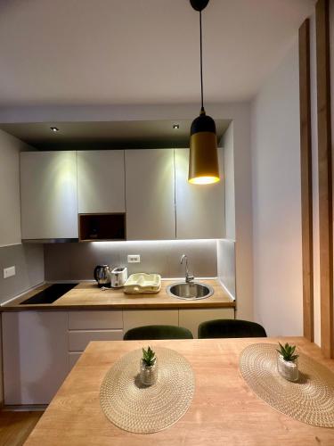 a kitchen with a wooden table and a sink at Emerald Mamba - Titova Vila in Zlatibor