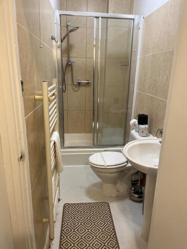 a bathroom with a shower and a toilet and a sink at Prime location Clifton 2 bed self contained spacious garden apartment in Bristol
