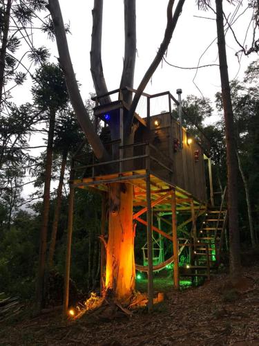 a tree house in the middle of the forest at Cabana da Árvore e Cabana Retrô - ForestPlace in Monte Verde
