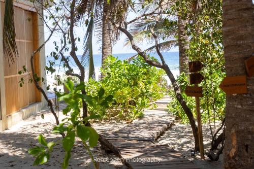 ein Weg zum Strand mit Palmen und dem Meer in der Unterkunft UtopiAmar Beach House & Suites in Playa Agua Blanca