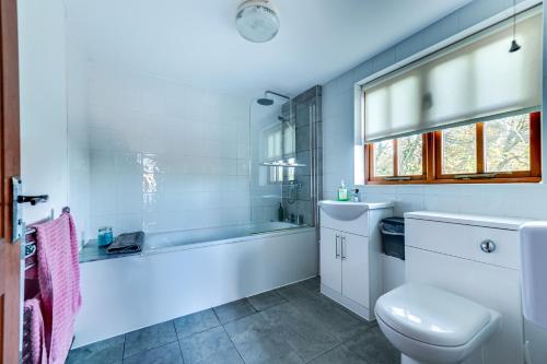 a bathroom with a tub and a toilet and a sink at The Loft at Duffryn Mawr Self Catering Cottages in Hensol