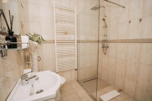 a bathroom with a shower and a sink at Apartament Andreas - centru, confort si relaxare in Arad