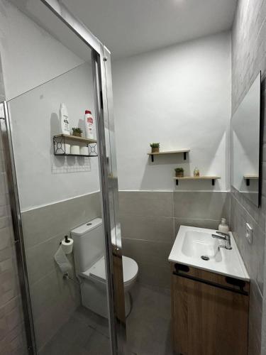 a small bathroom with a toilet and a sink at MariaValiente in Montoro