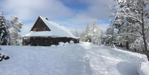 Stadnina Koni Huculskich Tabun