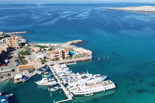an aerial view of a harbor with boats in the water at Club Cantamar Beach Hotel & Marina in La Paz