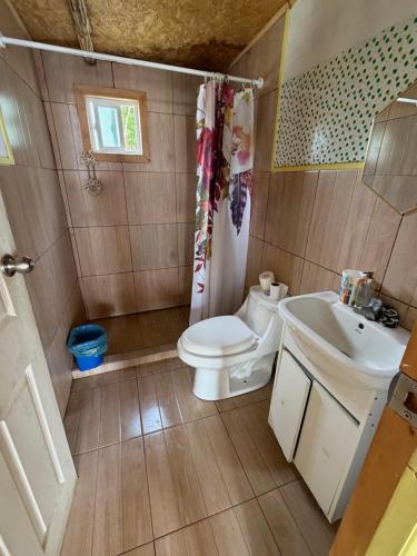 a bathroom with a toilet and a sink at Turismo Los Carbooneros de Pugueñun in Ancud