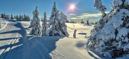 a snow covered slope with trees and the sun in the sky at Flat With Lake View In Sjusjøen in Sjusjøen
