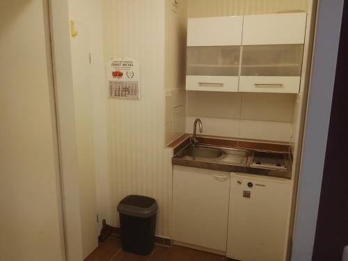 a small kitchen with white cabinets and a sink at Graeff luxury Apartment in Cologne