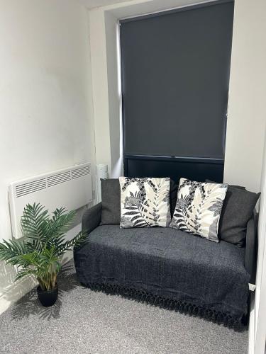 a gray couch in a room with a plant at Studio 2 - Eign St Hereford in Hereford