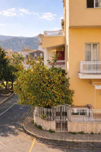 an orange tree in front of a building at Sorrento life 3 in Sant'Agnello