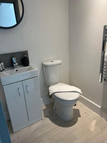 a bathroom with a white toilet and a sink at Studio 5 - Eign St Hereford in Hereford
