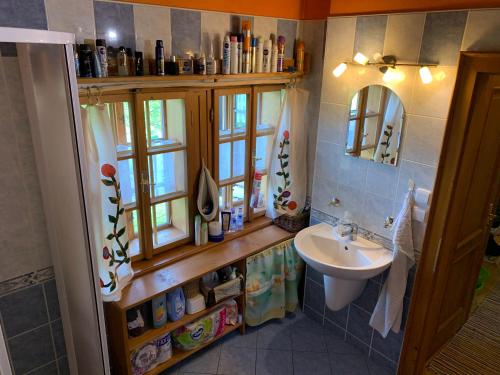 a bathroom with a sink and a mirror at Chalúpka pod Rozsutcom in Zázrivá