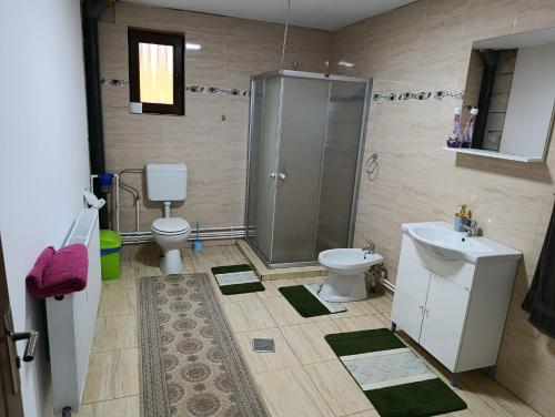 a bathroom with a shower and a toilet and a sink at Cabana Dany Colibița in Colibiţa