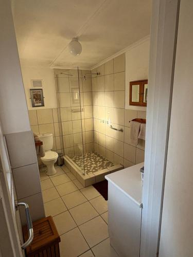 a bathroom with a shower and a toilet at Wiltshire Cottage in Port Alfred