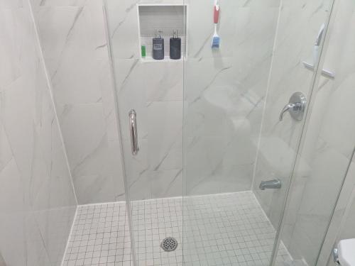a bathroom with a shower with a glass door at Kings Palace Basement in Brampton