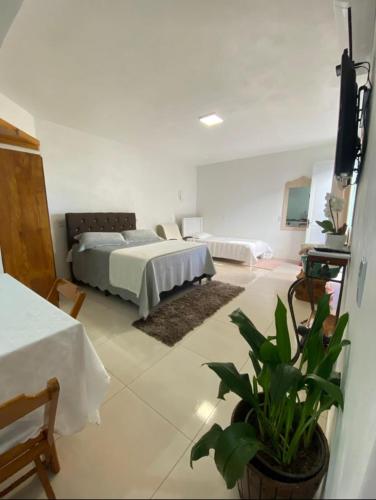 a bedroom with two beds and a potted plant at Hospedaria Klagemberg in Treze Tílias