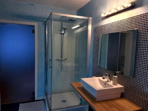 a bathroom with a sink and a shower at Logies Zen aan Zee in Ostend