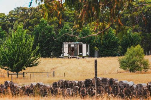 a herd of animals standing in a field at The Ridge by Tiny Away in Korweinguboora