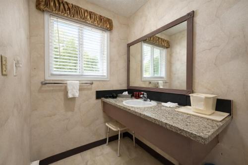 a bathroom with a sink and a mirror at Rychter Hotel Hope in Hope
