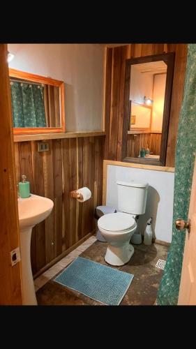a bathroom with a toilet and a sink at Logia Blanca in Villarrica