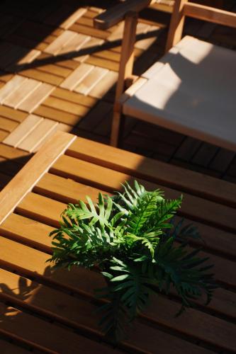 JIA Kaei Osaka 嘉奕 3-Story Modern Japanese-Style Luxury Holiday Villa Elevator Terrace 3 Bedrooms Sleeps Up to 11-12 Guests