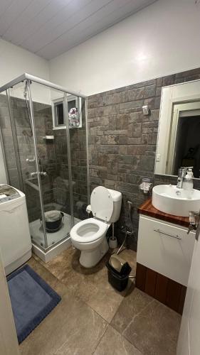 a bathroom with a toilet and a shower and a sink at Chalet Bilu in Piriápolis