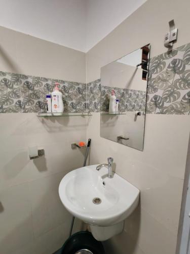 a bathroom with a sink and a mirror at Bird Nest Homestay in Jaffna