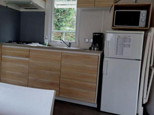Mobil-home cosy 4 pers avec terrasse - API-1-52-1239