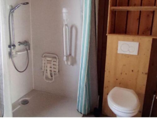 a bathroom with a shower and a toilet in it at Chalet accessible - 4 pers - Terrasse - API-1-52-1278 in Challes-les-Eaux