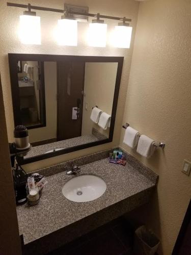 a bathroom with a sink and a large mirror at Ramada by Wyndham Glendale Heights/Lombard in Glendale Heights