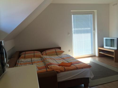 1 dormitorio con 1 cama, TV y ventana en Tourist Farm Pačnik en Resnik
