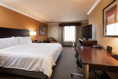 a hotel room with a bed and a desk at Holiday Inn Express Castro Valley - I-580 by IHG in Castro Valley