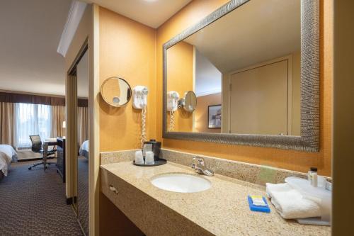 a bathroom with a sink and a mirror at Holiday Inn Express Castro Valley - I-580 by IHG in Castro Valley