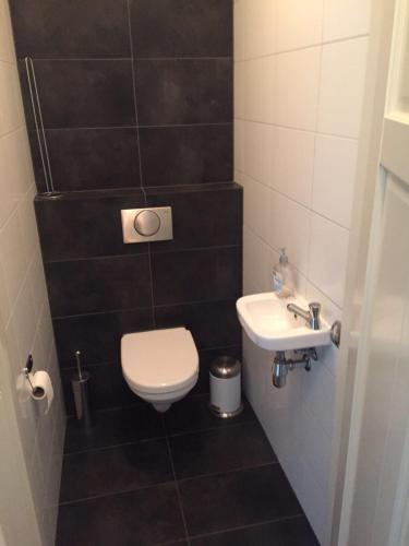 a small bathroom with a toilet and a sink at Gastenverblijf Eindhoven, 6 persoons in Eindhoven