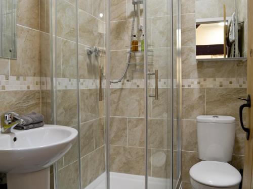a bathroom with a shower and a toilet and a sink at Barn Owl Bothy in Westward