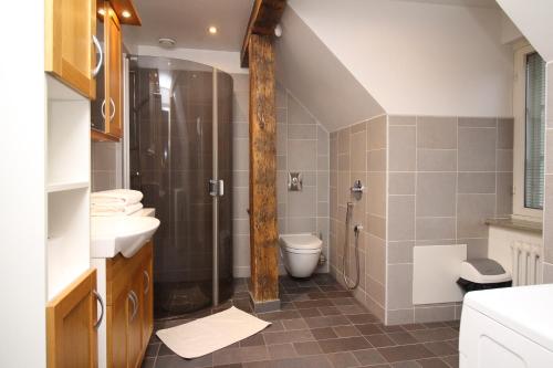 a bathroom with a shower and a toilet in it at Tallinn City Apartments Old Town Toompea in Tallinn