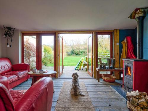 a living room with a dog sitting on the floor at Bueno - Ukc4682 in Clynnog-fawr