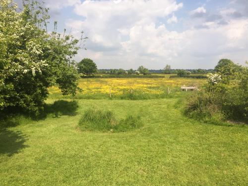 a field of grass with a field of flowers at Feltham's Cottage - Uk42324 in Horsington